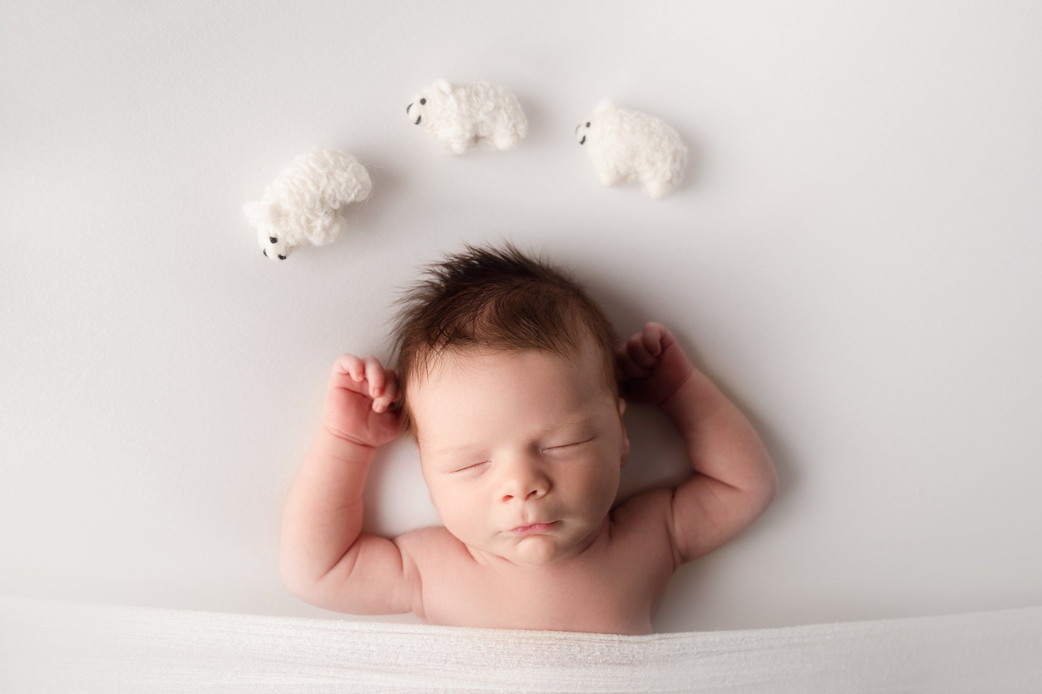 Newborn baby boy being photographed in Jupiter Florida photography studio with three prop sheep jumping over his head while he sleeps on cream backdrop