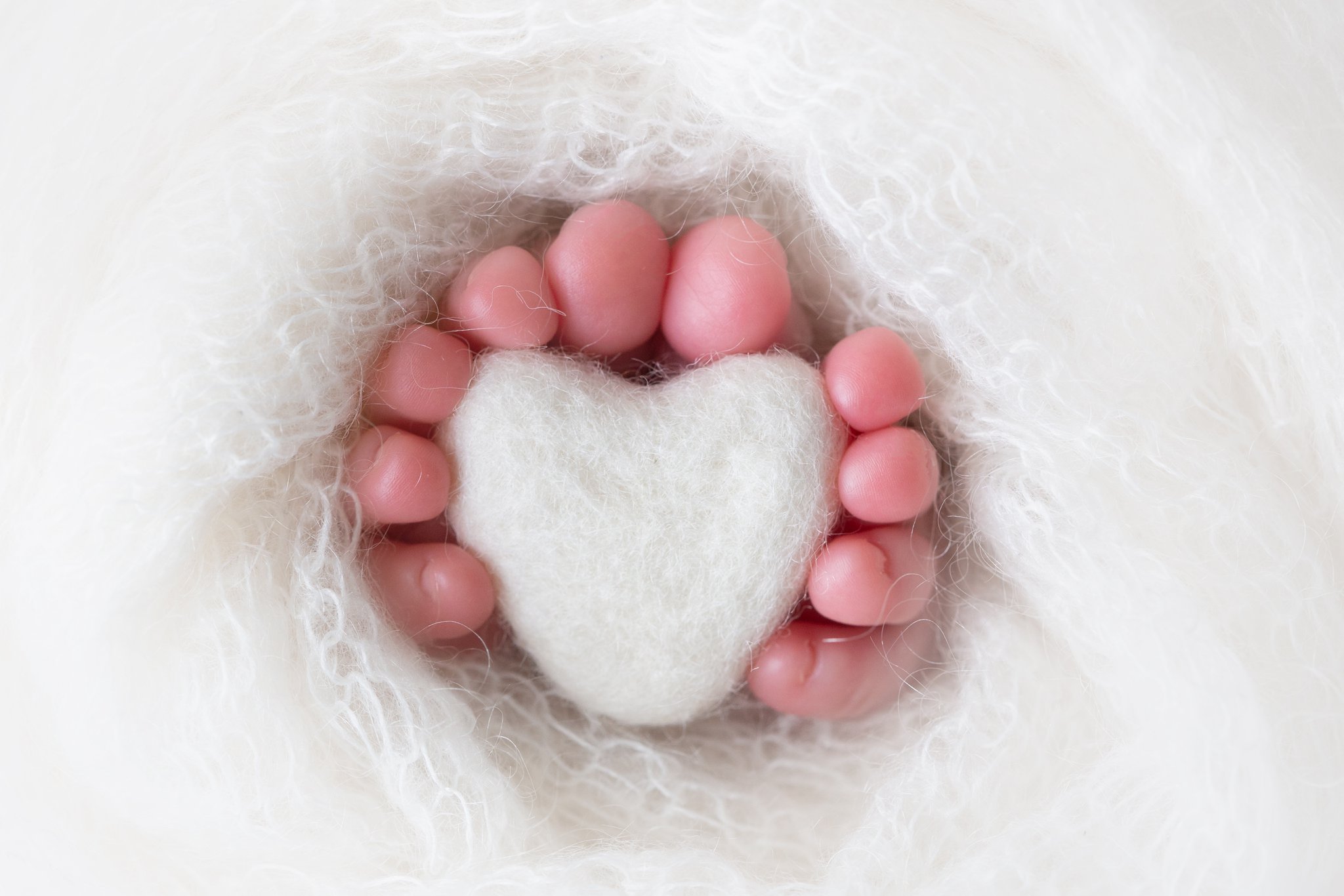 Photos of newborn baby boys feet wrapped around a little felted heart