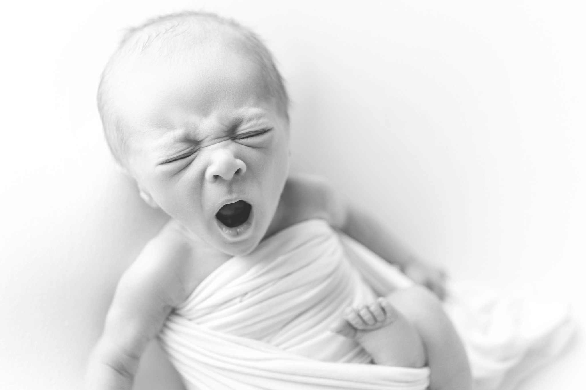 Newborn baby being photographed in south florida photo studio.