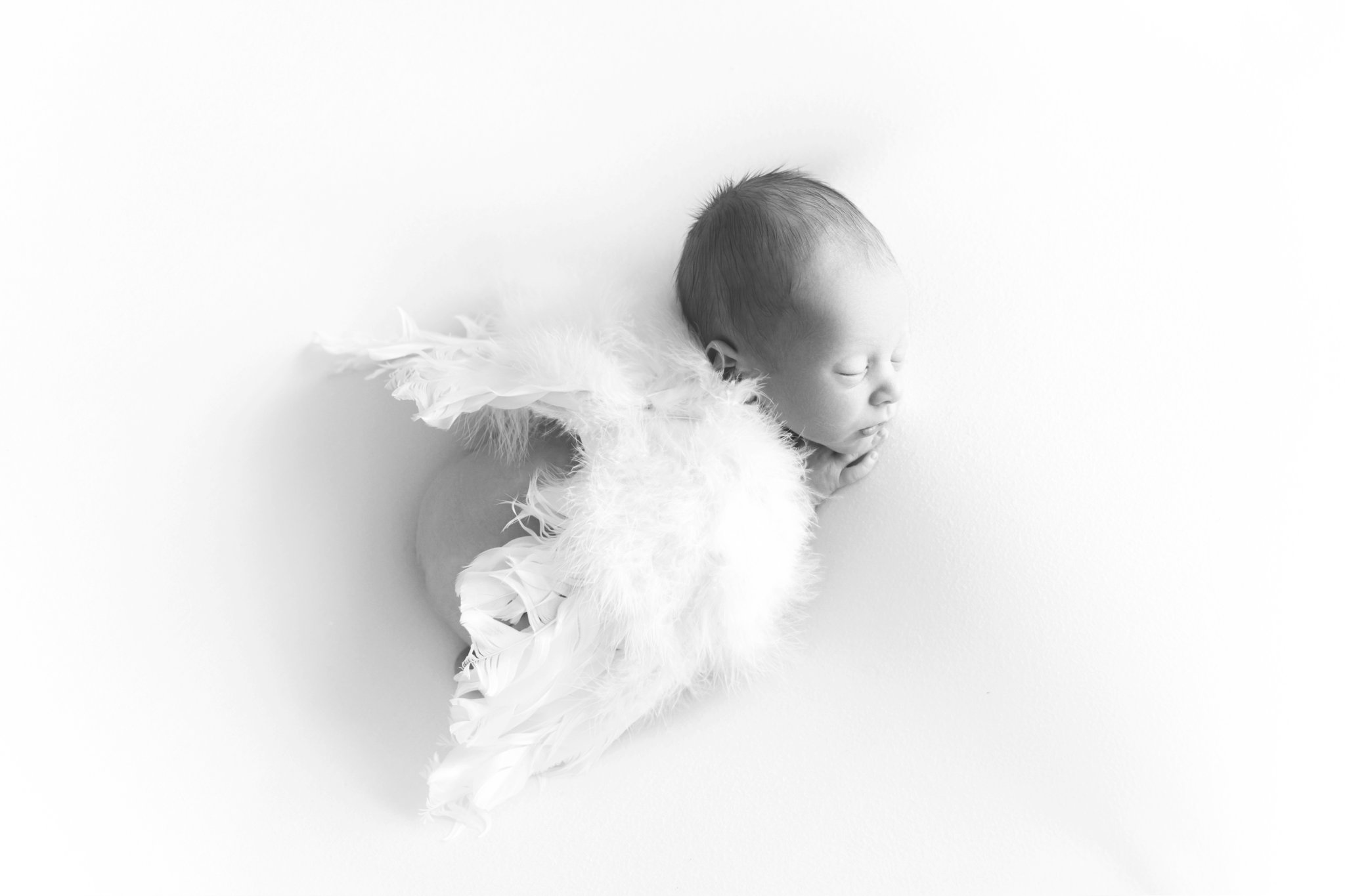 Newborn baby wearing angel wings being photographed in south florida photo studio.