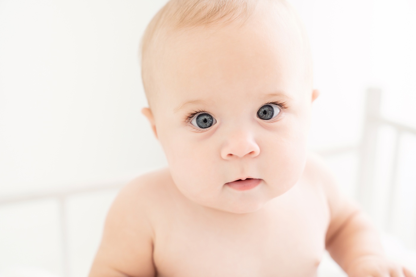 baby being photographed in a white photography studio